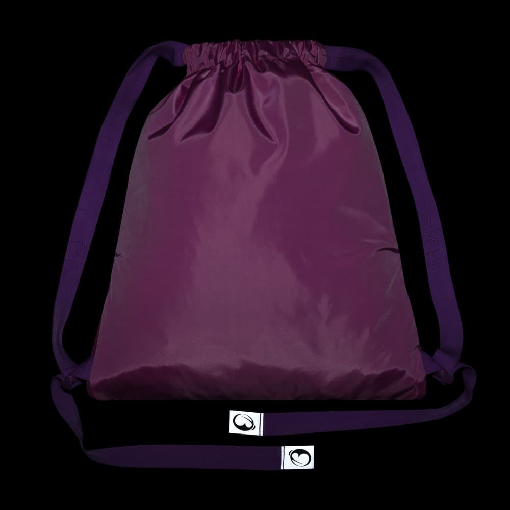 Bagmaster SÁČEK DOPI 24 A školní na přezůvky / tělocvik – koně - náhled 5