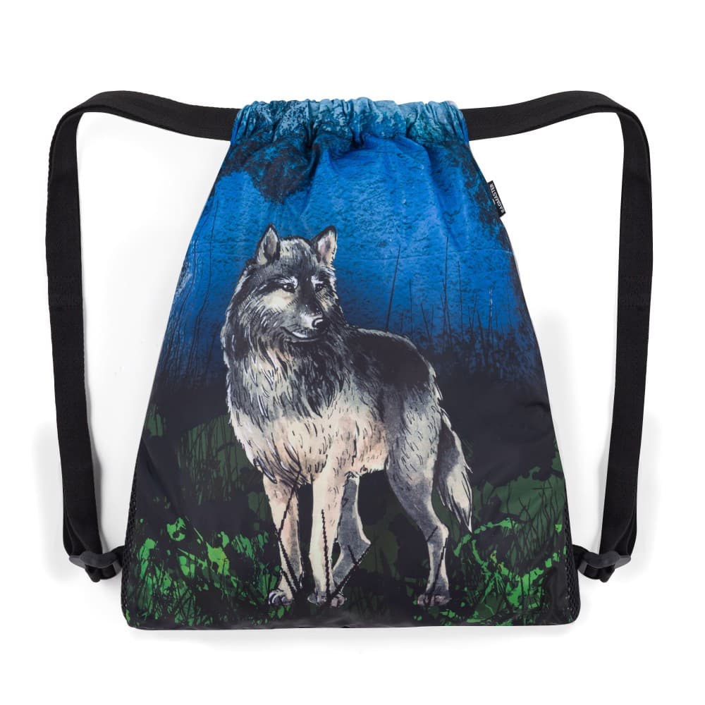Bagmaster SÁČEK LUMI 24 F školní na přezůvky / tělocvik – vlk - náhled 1